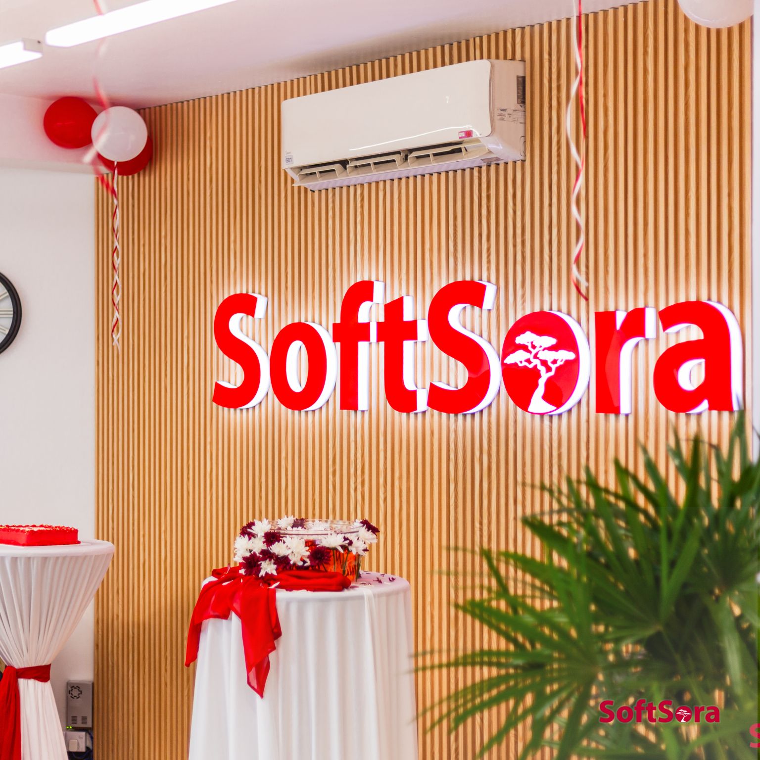 SOFTSORA HQ, OPENING DAY
